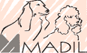 Madil Yarns